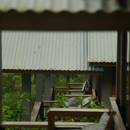 The Geckos Homestay Kelimutu Quarto foto