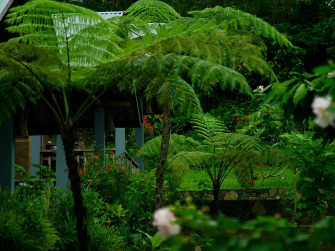 The Geckos Homestay Kelimutu Exterior foto