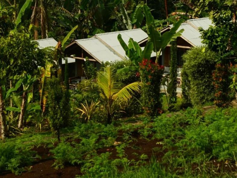 The Geckos Homestay Kelimutu Quarto foto