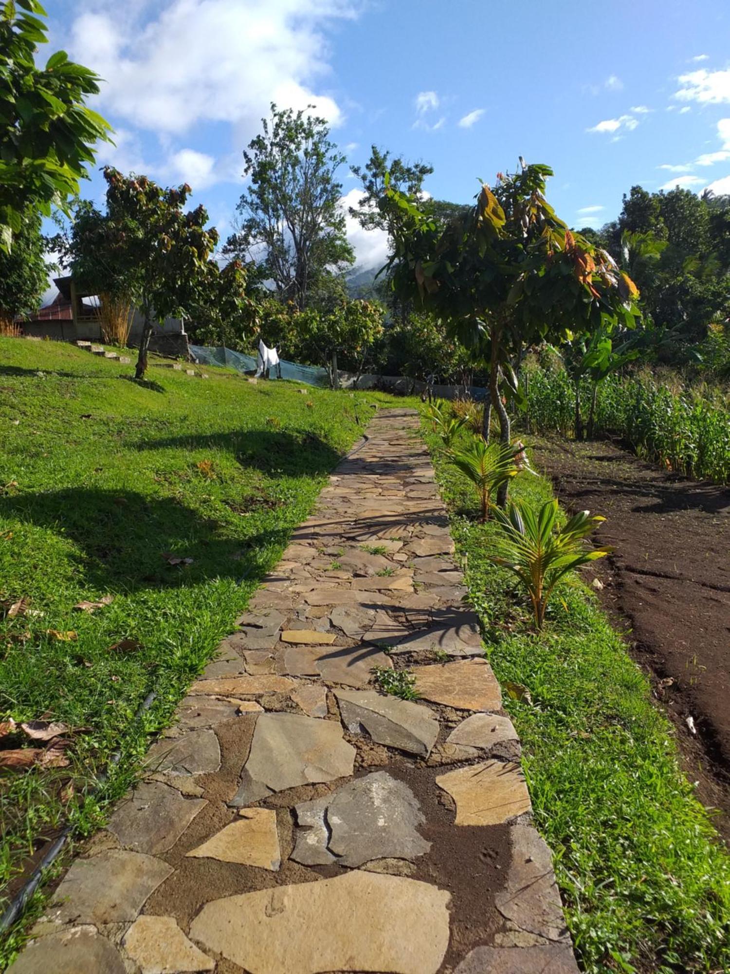 The Geckos Homestay Kelimutu Quarto foto